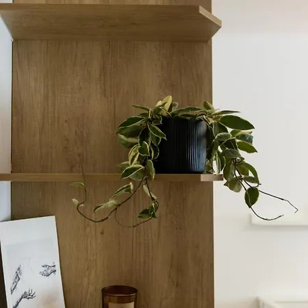 Nest - Quiet & Cozy Near The Centre Apartman *
