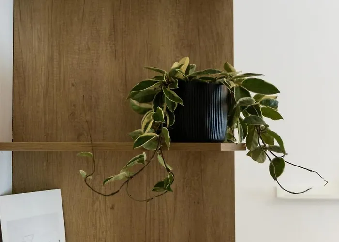 Nest - Quiet & Cozy Near The Centre Appartamento *